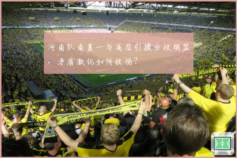 河南队南基一与高层引援分歧明显,矛盾激化如何收场?