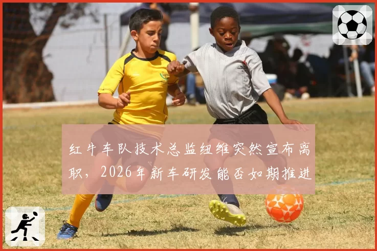 红牛车队技术总监纽维突然宣布离职，2026年新车研发能否如期推进？