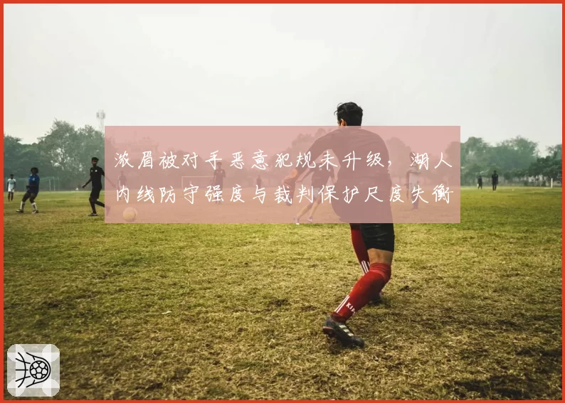 浓眉被对手恶意犯规未升级，湖人内线防守强度与裁判保护尺度失衡？