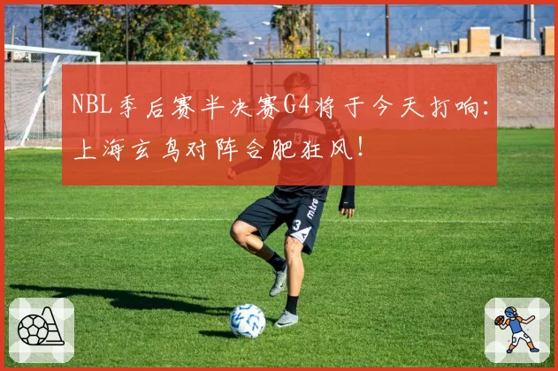 NBL季后赛半决赛G4将于今天打响:上海玄鸟对阵合肥狂风!