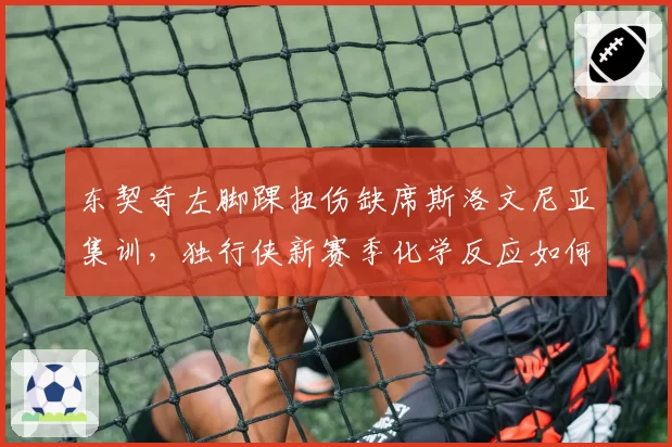 东契奇左脚踝扭伤缺席斯洛文尼亚集训,独行侠新赛季化学反应如何建立?