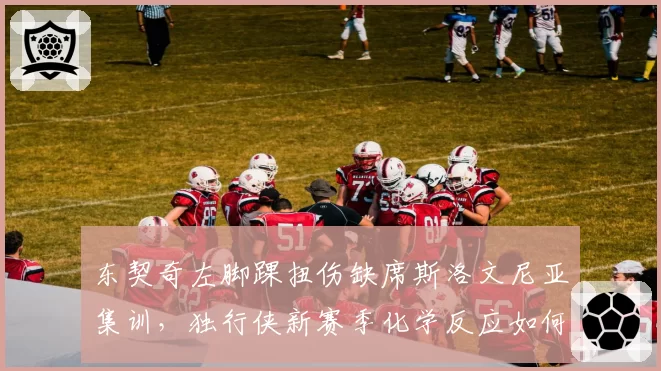 东契奇左脚踝扭伤缺席斯洛文尼亚集训,独行侠新赛季化学反应如何建立?