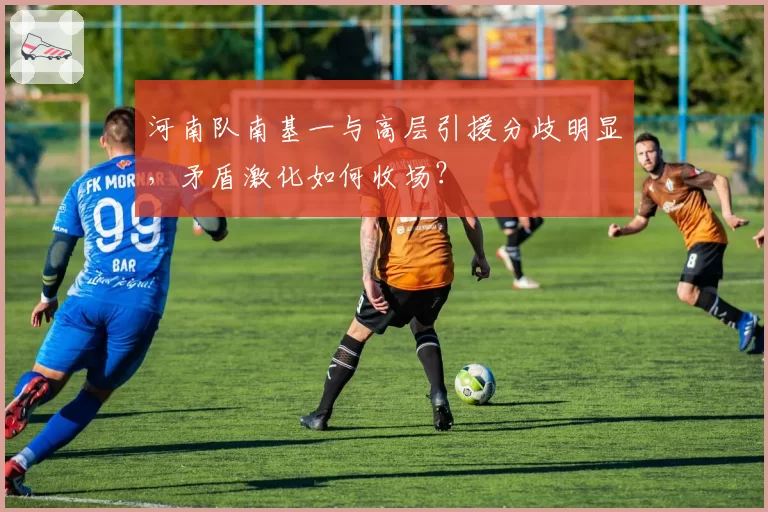 河南队南基一与高层引援分歧明显,矛盾激化如何收场?
